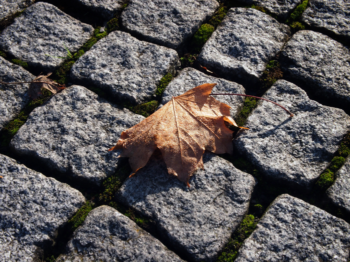 ザールブリュッケン