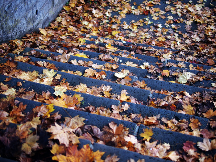 ザールブリュッケン