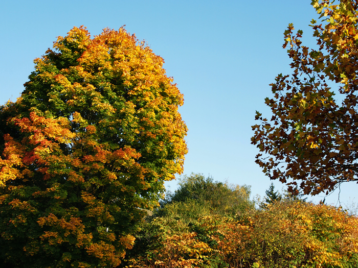 ザールブリュッケン