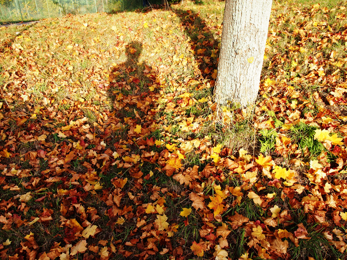 ザールブリュッケン