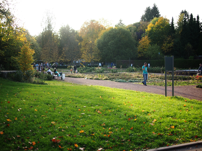 ザールブリュッケン