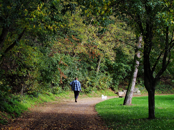 ザールブリュッケン