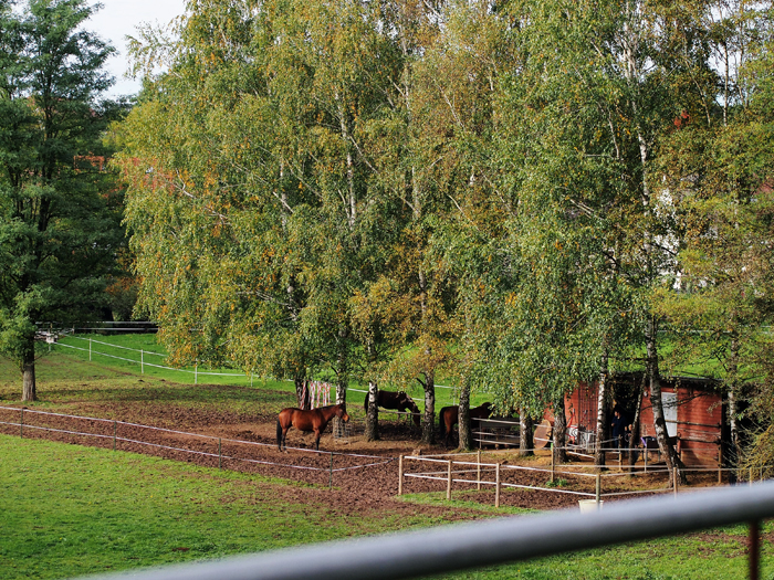 ザールブリュッケン