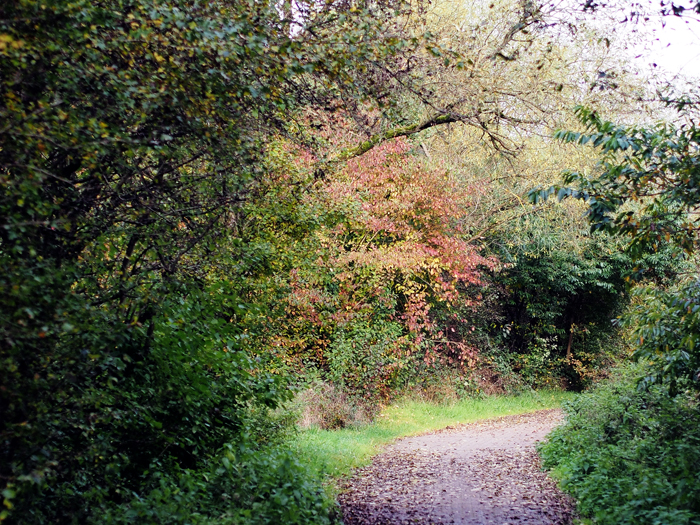 ザールブリュッケン