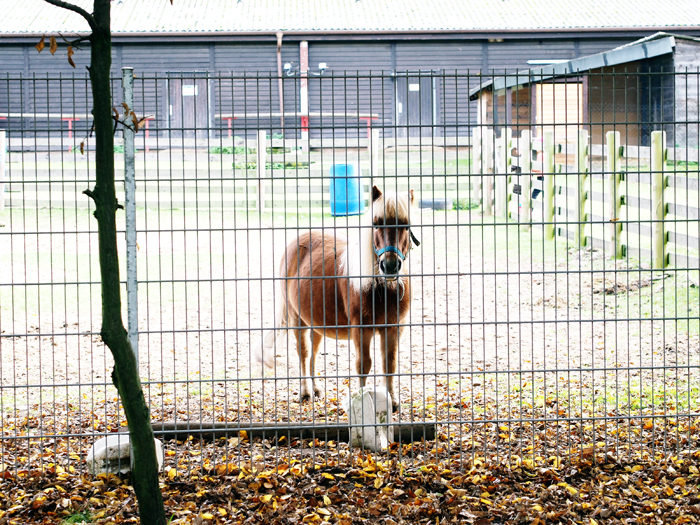 ザールブリュッケン