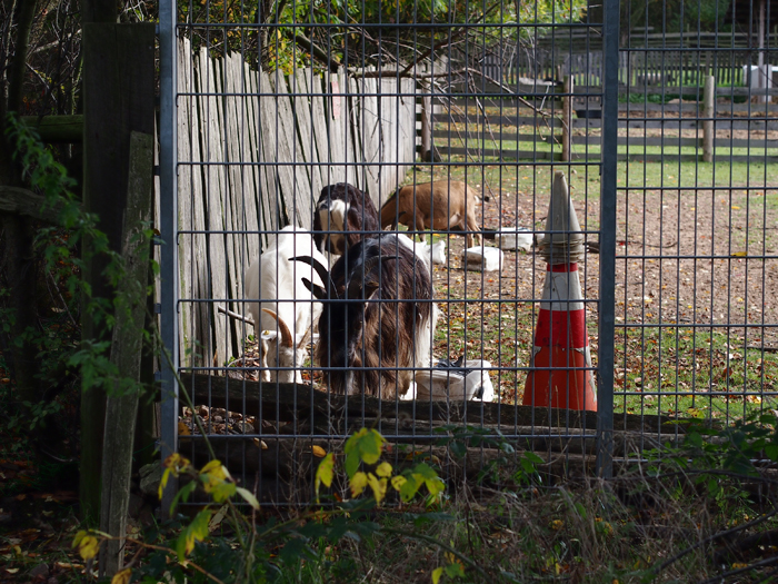 ザールブリュッケン