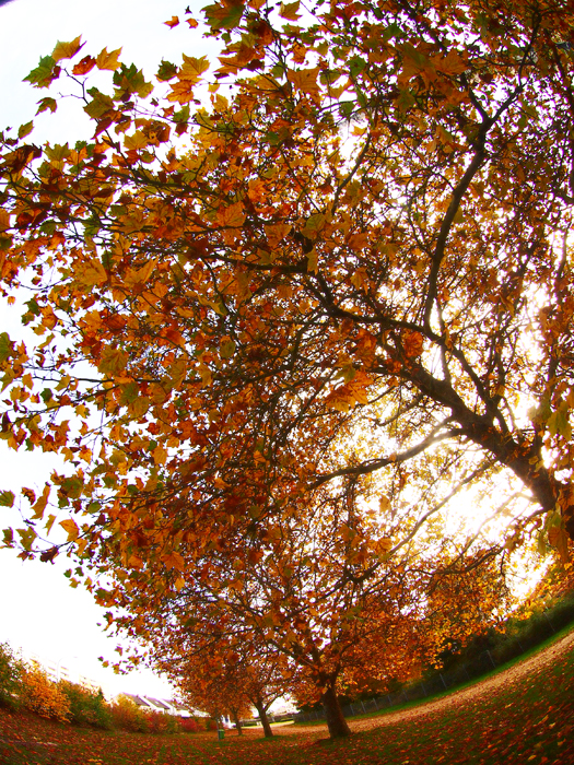 ザールブリュッケン