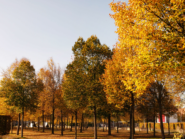 ザールブリュッケン