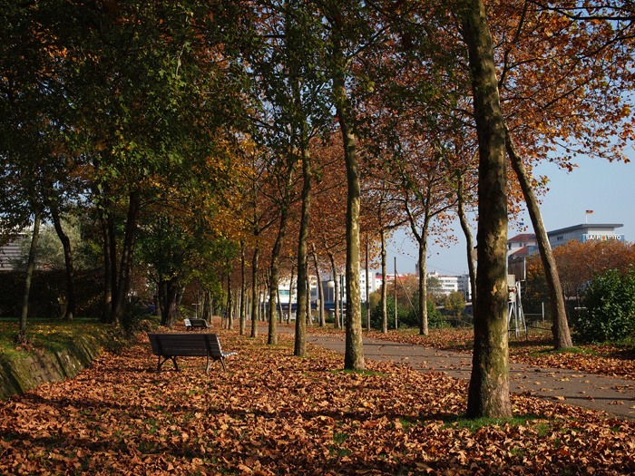 ザールブリュッケン