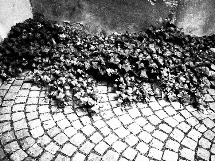 ザールブリュッケン