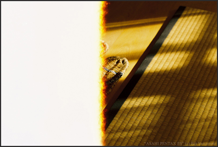 ザールブリュッケン