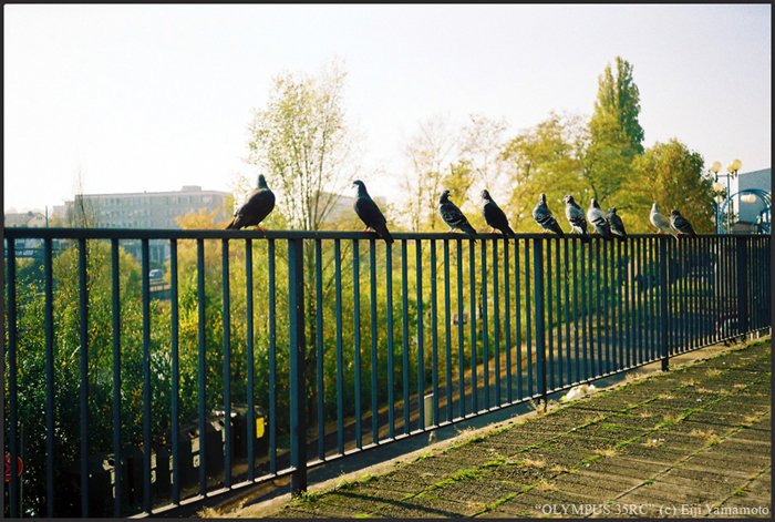 ザールブリュッケン