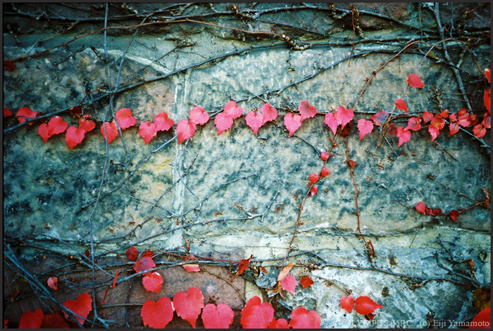 ザールブリュッケン