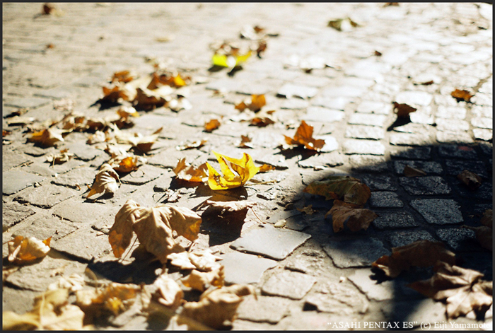 ザールブリュッケン