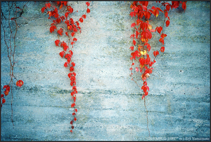 ザールブリュッケン