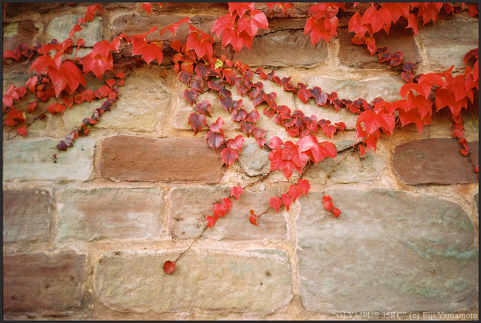 ザールブリュッケン