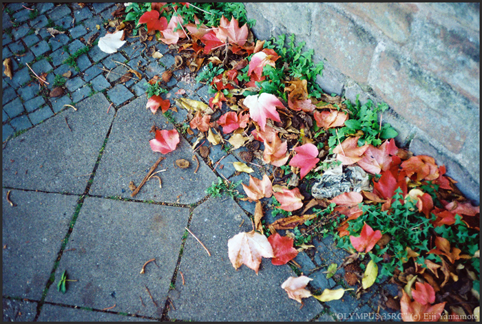 ザールブリュッケン