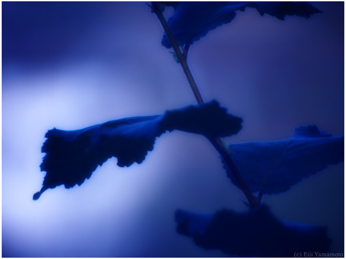 ザールブリュッケン