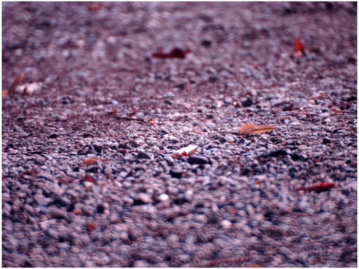 ザールブリュッケン