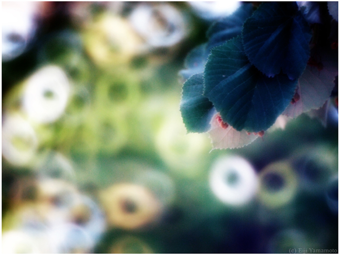 ザールブリュッケン