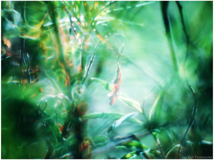 ザールブリュッケン