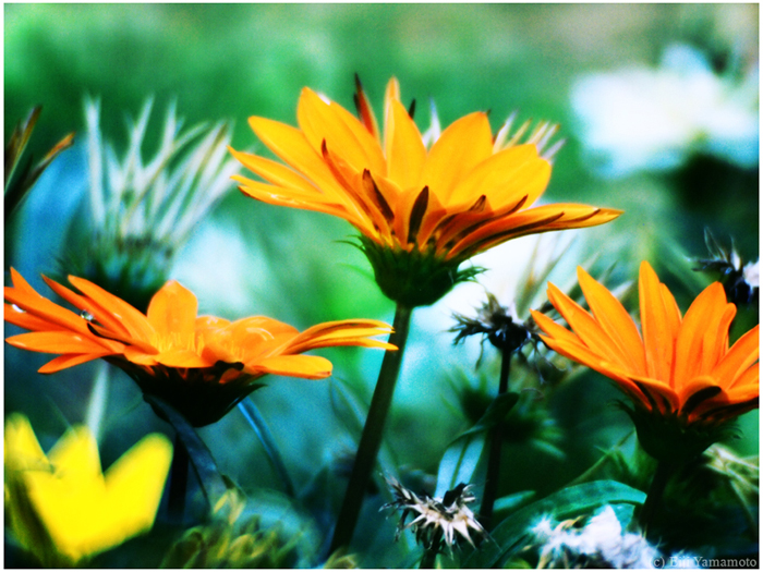 ザールブリュッケン