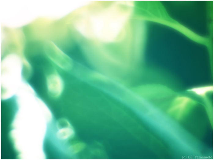 ザールブリュッケン