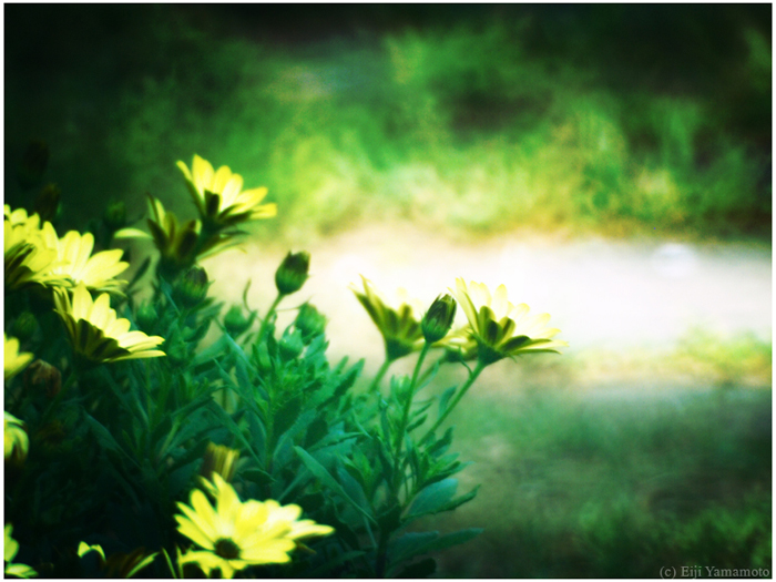 ザールブリュッケン