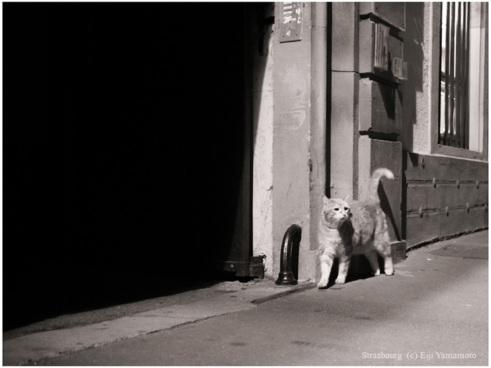 ストラスブール