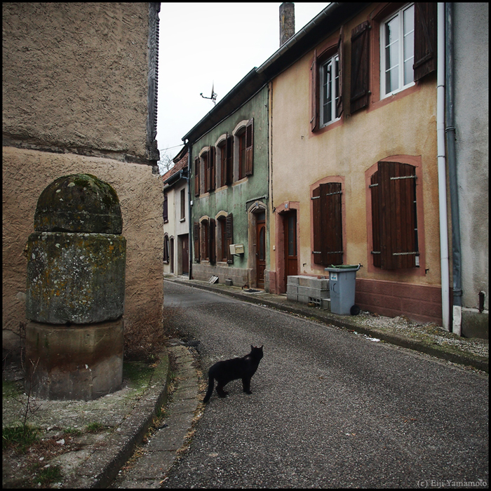 フェネトランジュ