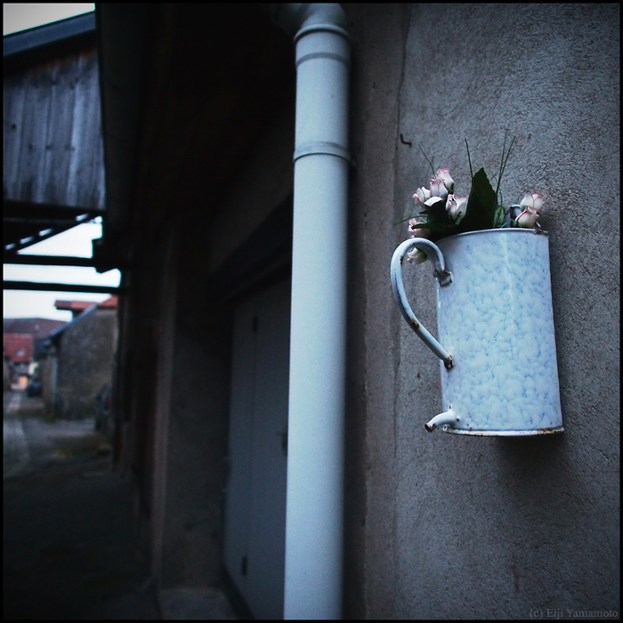 フェネトランジュ