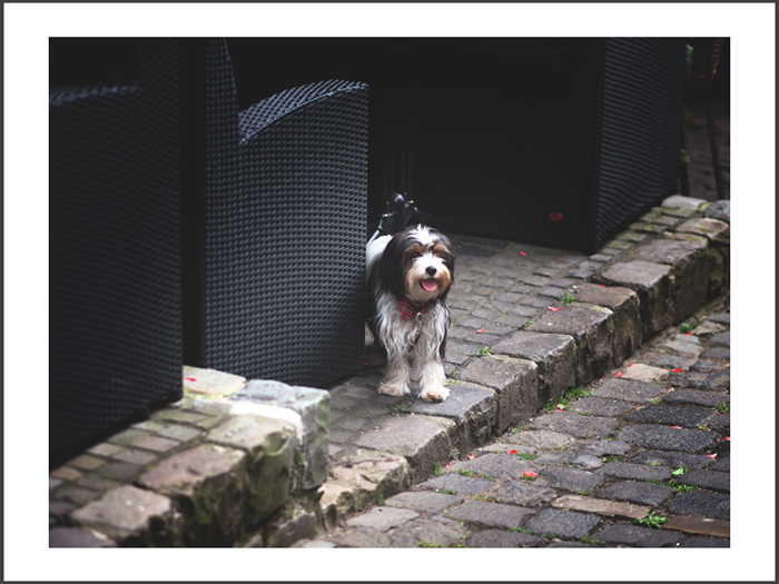 ベルンカステル=クース