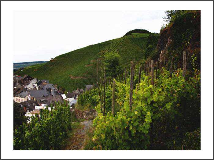 ベルンカステル=クース