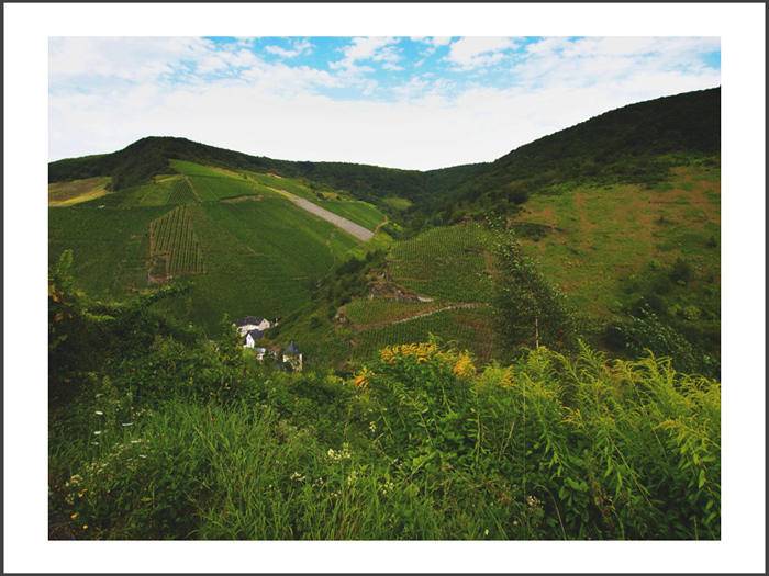 ベルンカステル=クース