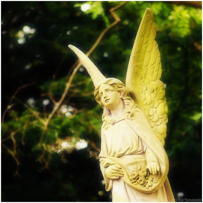 ザールブリュッケン