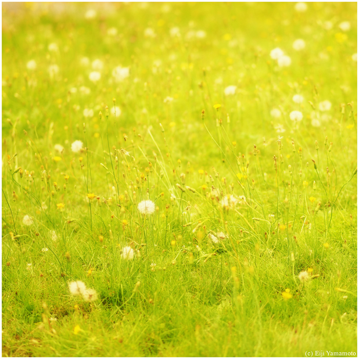 ザールブリュッケン