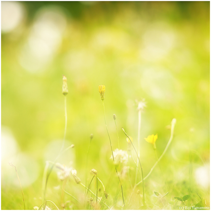 ザールブリュッケン