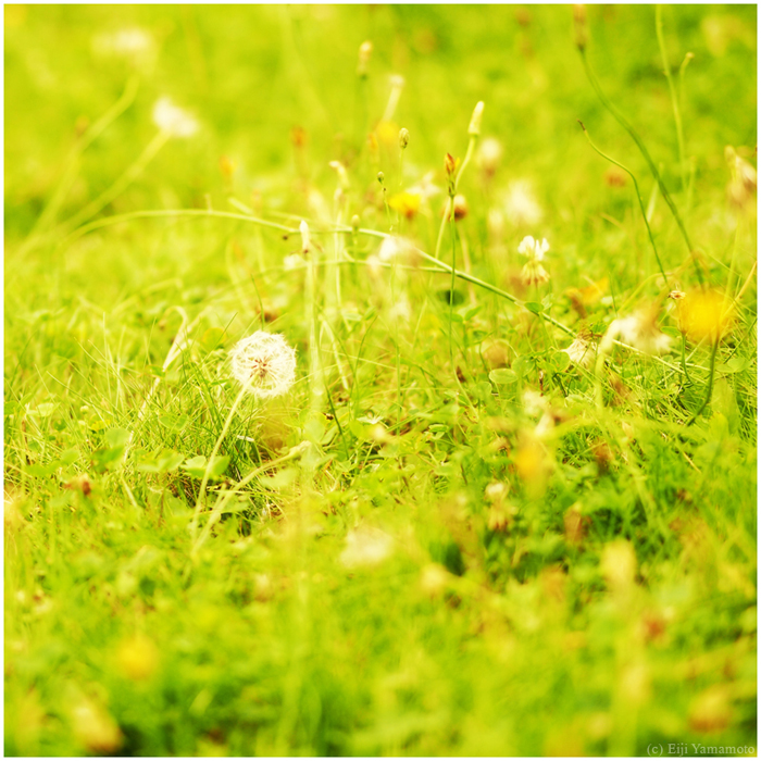 ザールブリュッケン