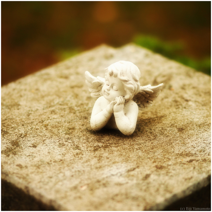 ザールブリュッケン