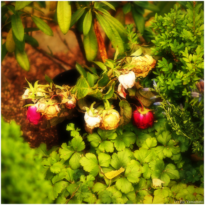 ザールブリュッケン