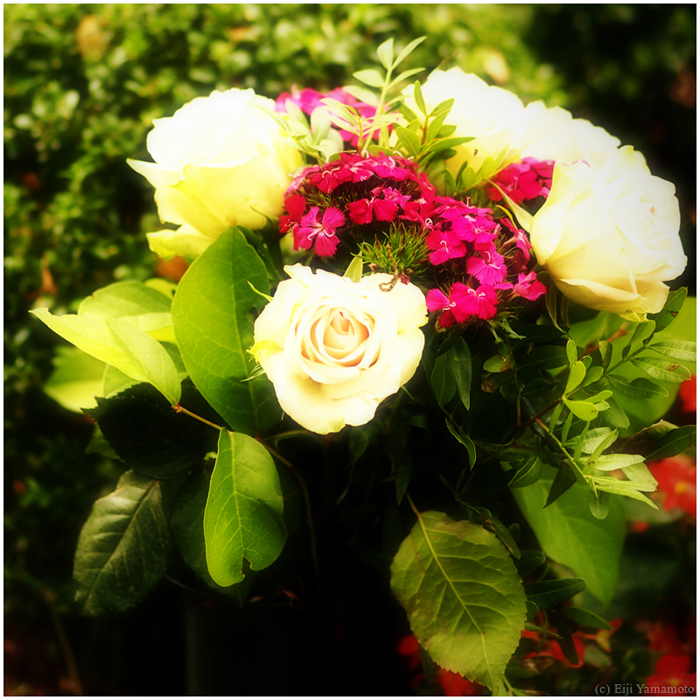 ザールブリュッケン