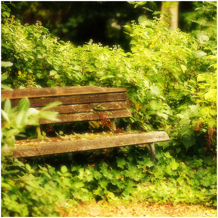 ザールブリュッケン