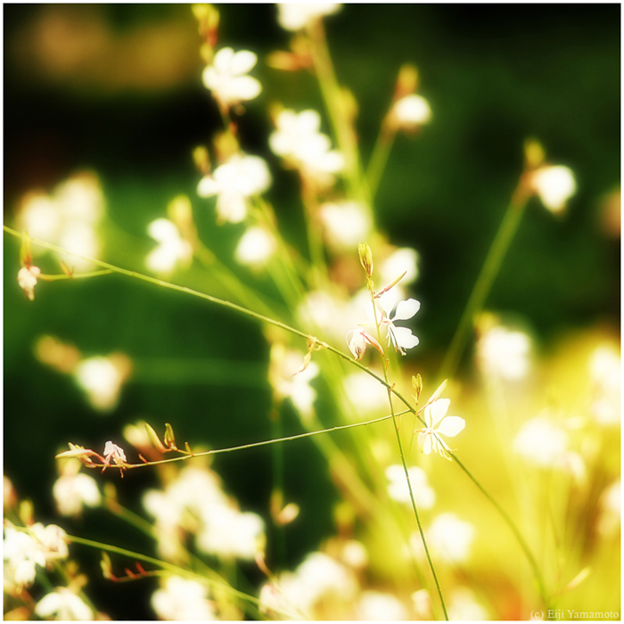 ザールブリュッケン