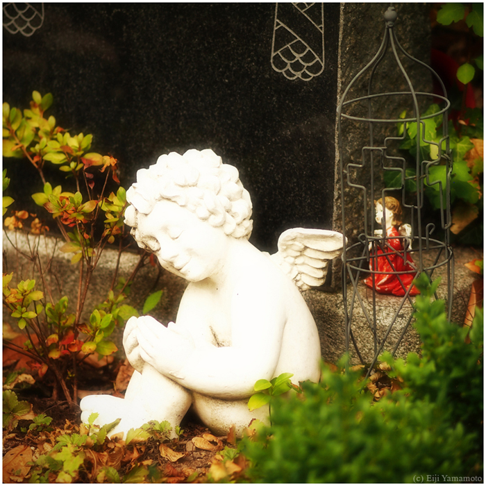 ザールブリュッケン