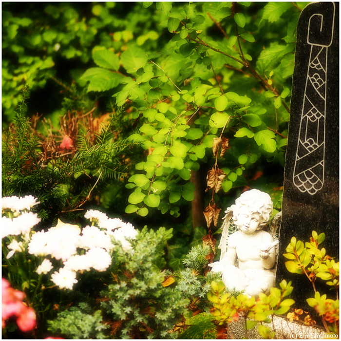 ザールブリュッケン