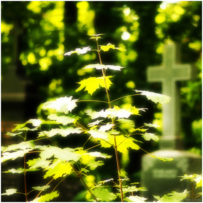 ザールブリュッケン