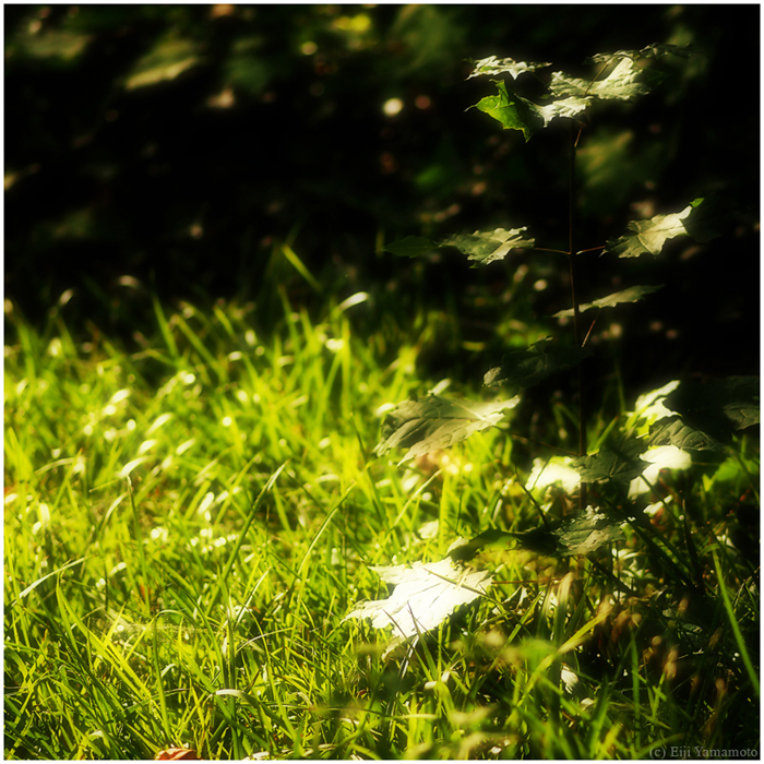 ザールブリュッケン