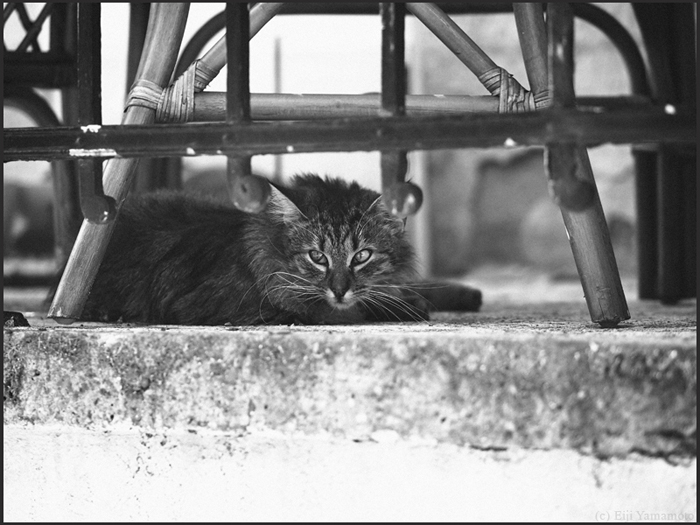 オンブール・オー