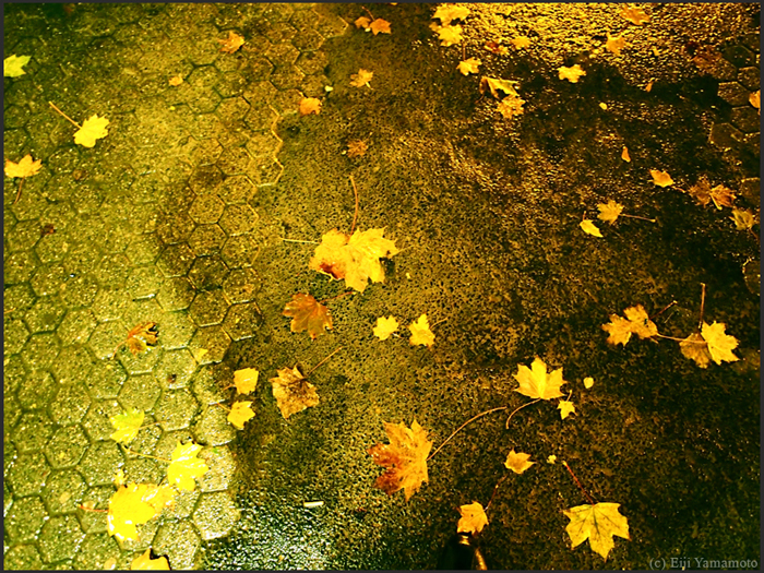 ザールブリュッケン