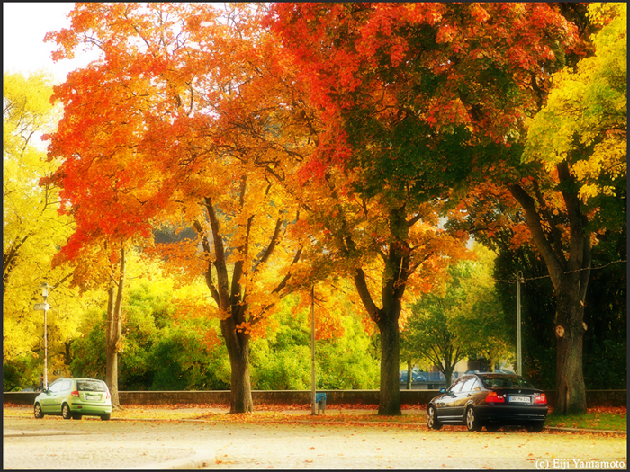 ザールブリュッケン